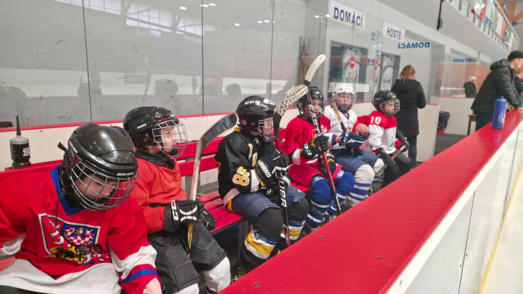 WhatsApp Image 2026-03-11 at 07.29.14.jpeg