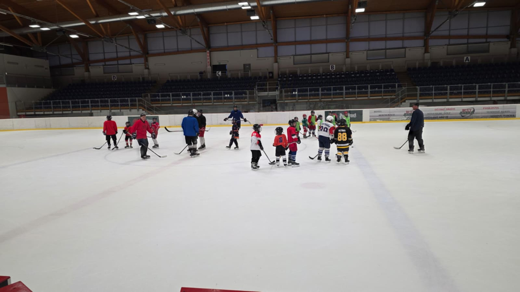 WhatsApp Image 2026-03-11 at 07.29.17.jpeg