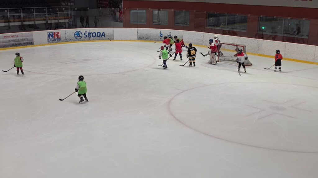 WhatsApp Image 2026-03-11 at 07.29.155.jpeg