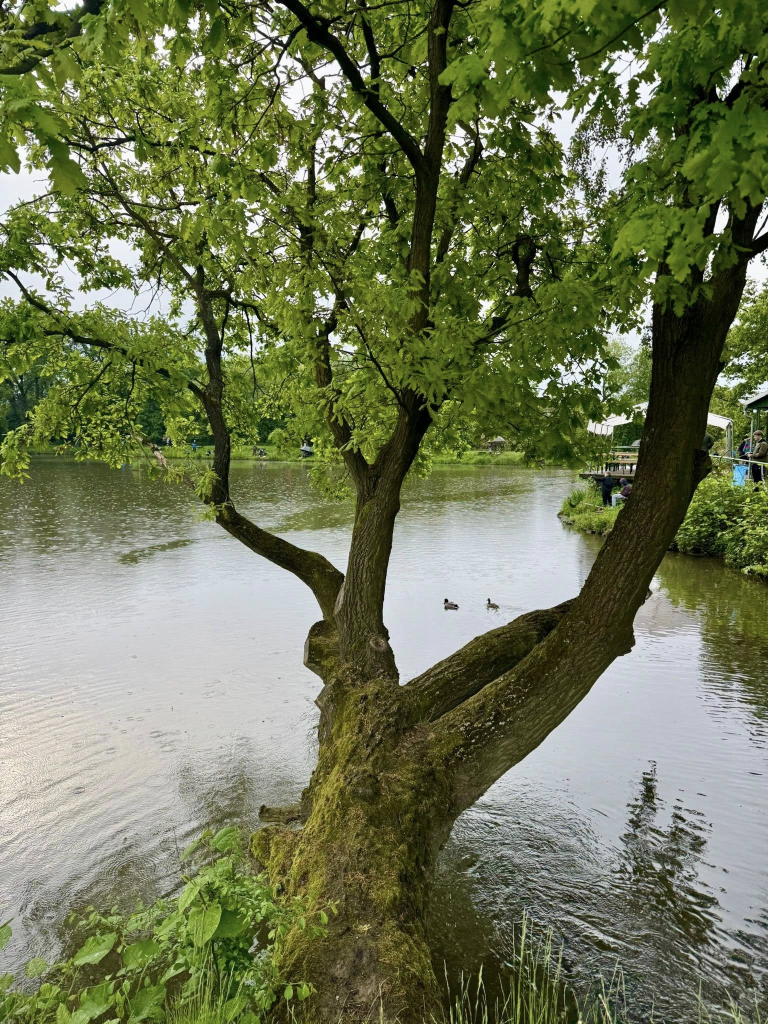 702569111_1281946027445258_8410984487157391850_n.jpg