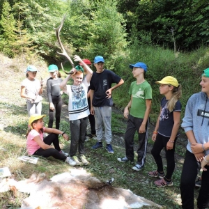 setina-2019-007.jpg