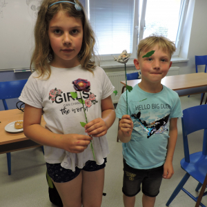 DSCN1611.JPG