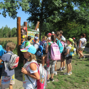 IMG_7885.JPG