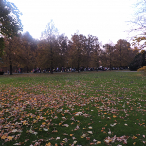 DSCN4639.JPG