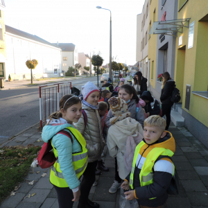 DSCN4661.JPG