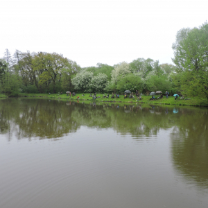 DSCN5476.JPG