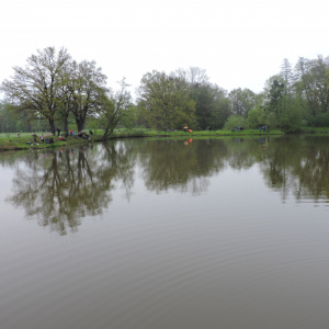 DSCN5477.JPG