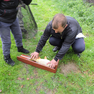 DSCN5483.JPG