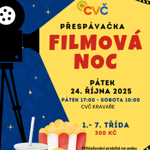 Filmová noc