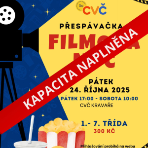 Filmová noc