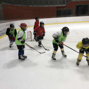 Hokejový kroužek 2025/2026